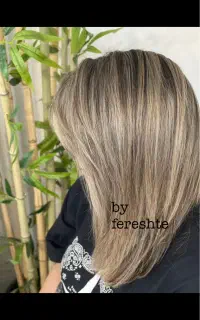 مدل مش و هایلایت