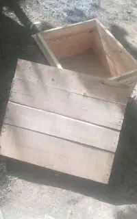 کندوی زنبور عسل