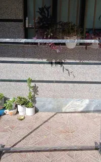۴شاخه پروفیل ۳متری و رگال لباس