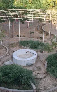 اجاره باغ روزانه کاشمر روستای بهاریه