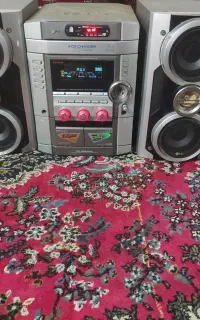 ضبط خانگی