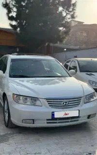 ازرا۲۰۰۷تمیز خانگی کم کار وحشی