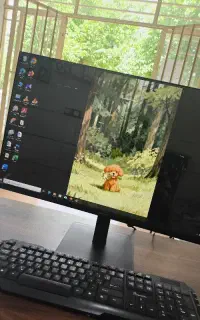 کافینت و ویدیو کلوپ قاسمی