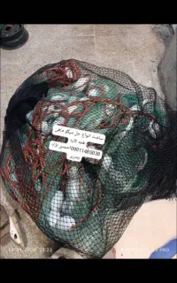 جل وتخته قایق لنج