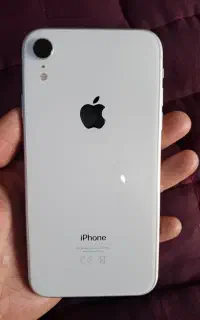 گوشی ایفون Xr حافظه 256 در حد