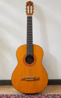 گیتار matapoor