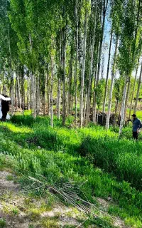 خدمات عکسبرداری و فیلمبرداری