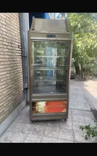 یخچال ایستاده دانفوس آلمان
