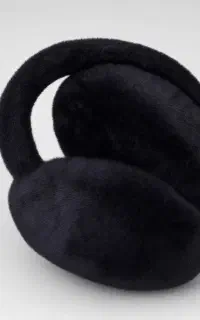 گوش گیر