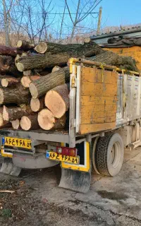 خرید وفروش انواع چوب سوسرایی