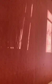 موکت