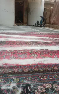 قالیشوی پاک( جنامی)