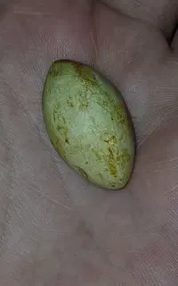 مهره ی قدیمی و طبیعی درشت تراش دار اصل و پاکستانی