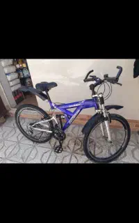 دوچرخه حرفه ای