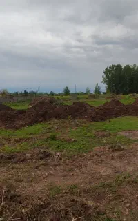 نگهبان ساختمان( فقط شب)