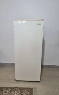 یخچال آزمایش ۱۰ فوت مدل AR10