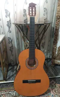 گیتار پارسی با کیف  صفر