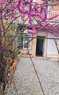 یک خوابه جنگلی روستایی بالکن ویو دار نزدیک سد ذوات
