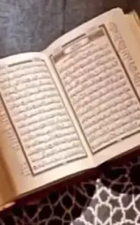 مداح