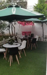چتر باغی