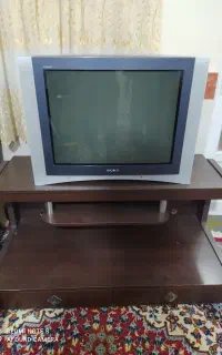 تلویزیون