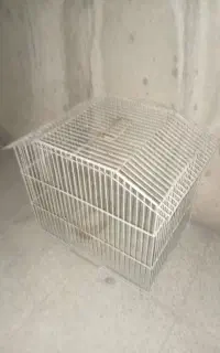 قفسه پرنده