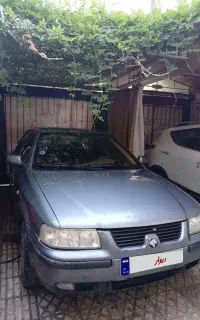 سمند معمولی بی رنگ