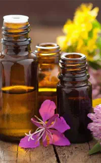 بازاریاب خانم محصولات گیاهی
