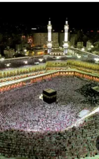 مرکز خرید وفردش فیش حج تمتع و عمره