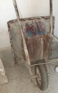 فرغون