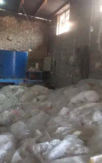 بزرگ ترین کندور ایران