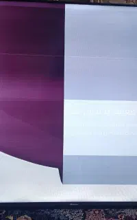 تلویزیون