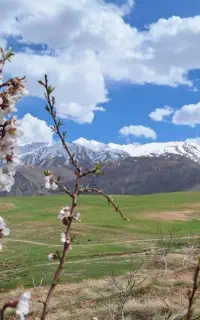 بیمه با شرایط دلخواه الیگودرز