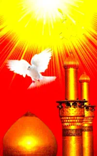 علم بهترین دعانویس شهر