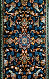 پادری 700شانه