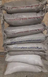دان بلدرچین