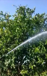 سم پاشی سیار منبع 1000 لیتر شیلنگ 150 متر