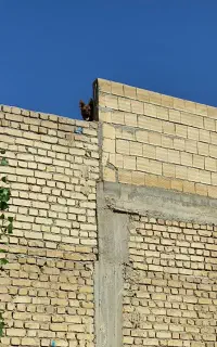 نیازمند مهندس معمار دارای مهر نظام مهندسی