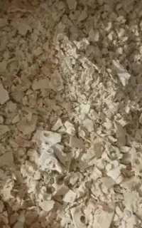 نان خشک خیلی تمیز  خشک