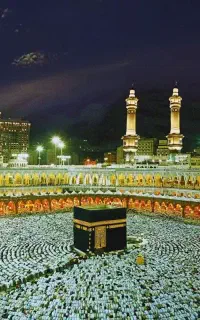 فروش یک عدد فیش حج تمتع سال ۸۶