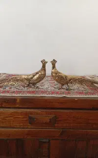 طاووس برنز