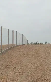 فنس شموشک