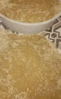 بذر یونجه خود کاهاشون