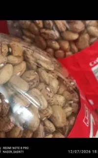 لوبیا
