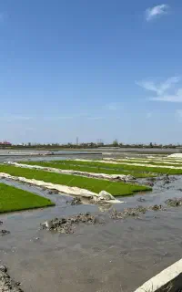 تیم دستگاهی آماده به نشا