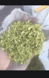 کاه عدس