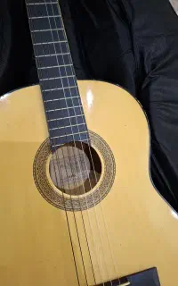 گیتار آلوارز