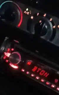 ظبط