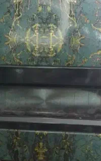 بخاری گازی