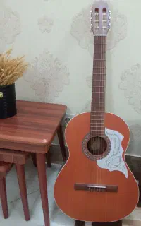 گیتار مارک پارسی،مدلm5